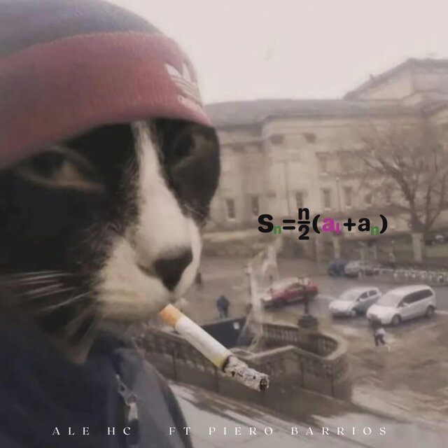 ¿¿??