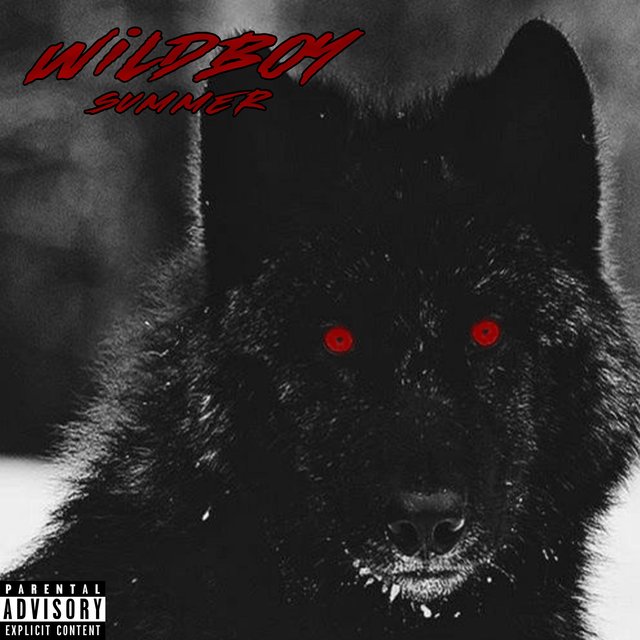 WILDBOY SUMMER