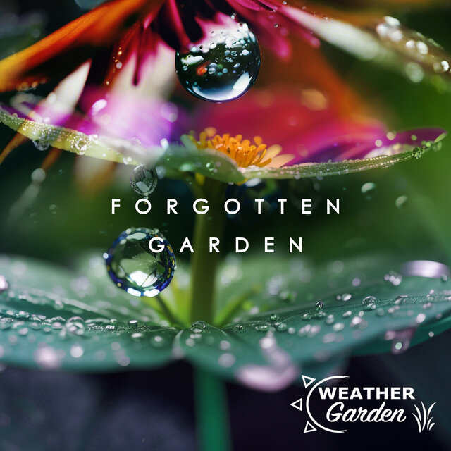 Forgotten Garden