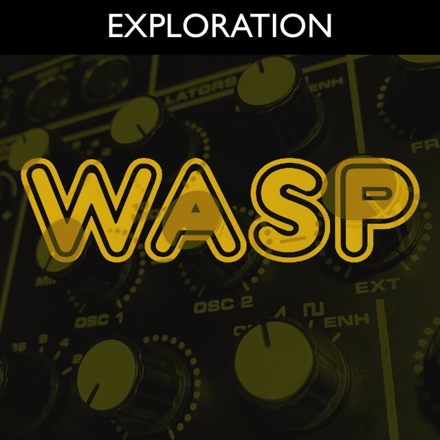 Exploration: Wasp