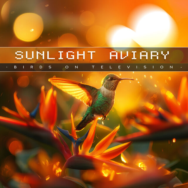 Sunlight Aviary