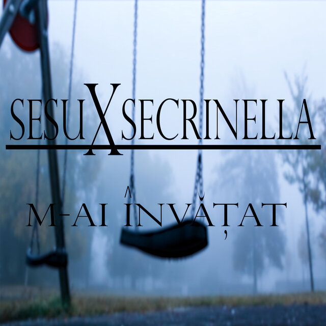 M-ai Invatat