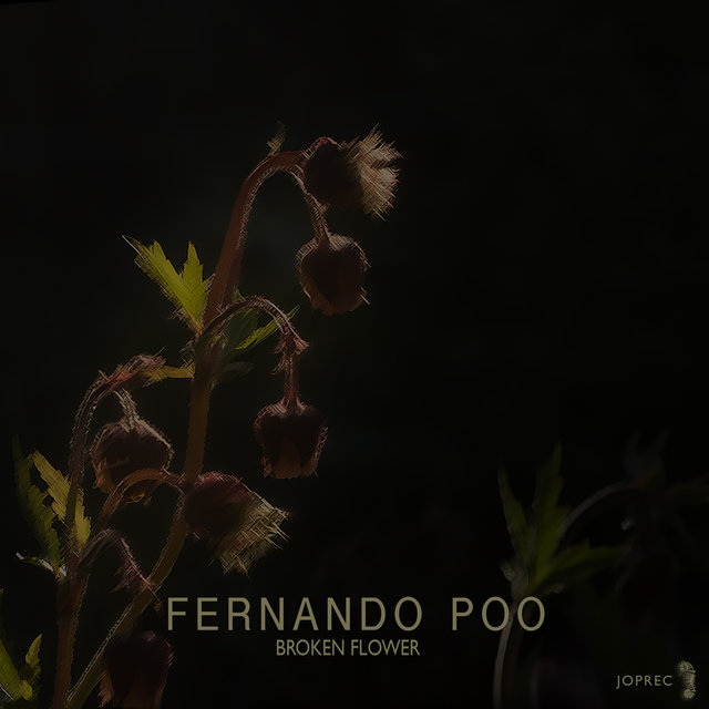 Broken Flower