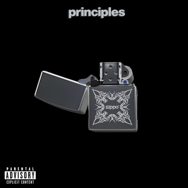 principles