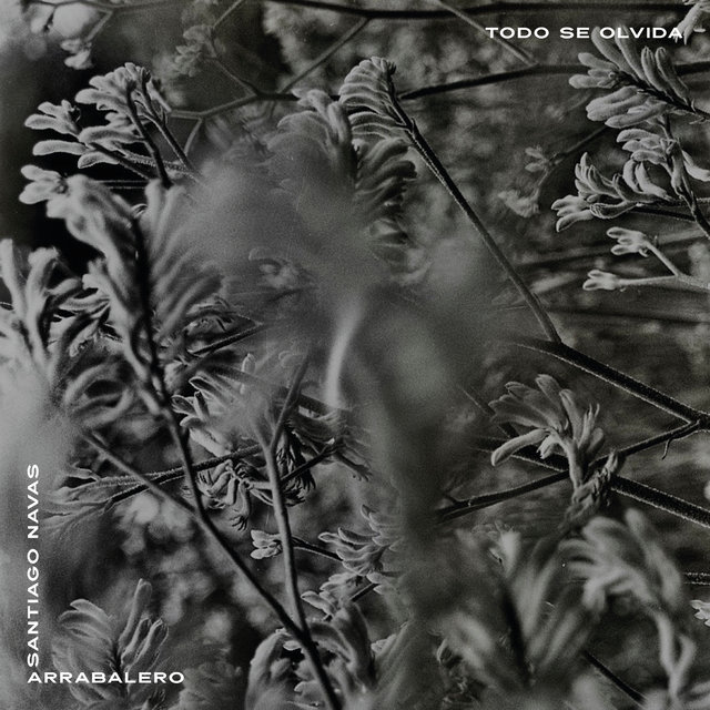 Todo Se Olvida (Santiago Navas Remix)