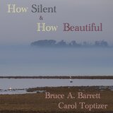 How Silent and How Beautiful
