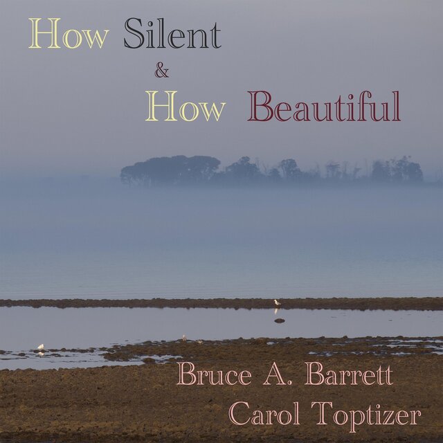 How Silent and How Beautiful