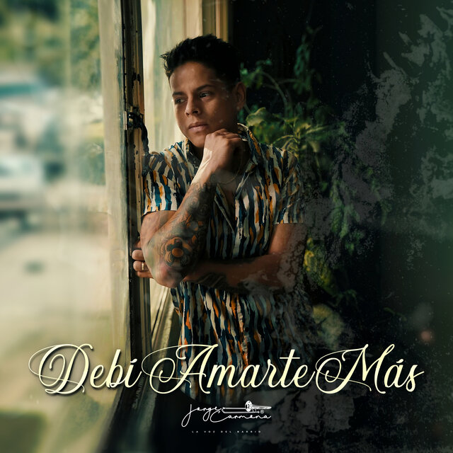 Debí Amarte Mas