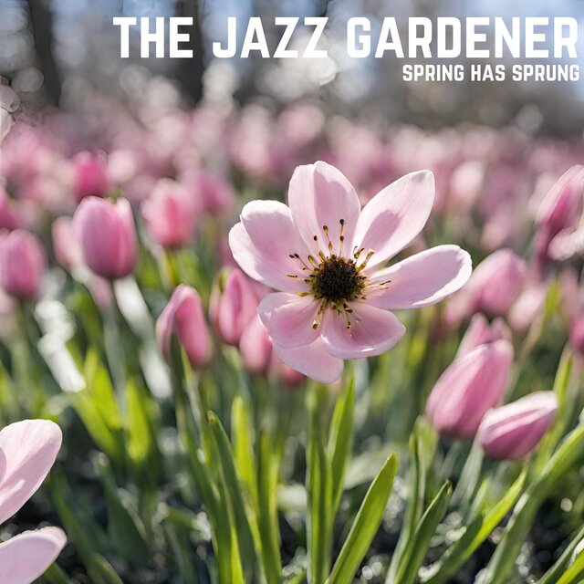 Spring Has Sprung