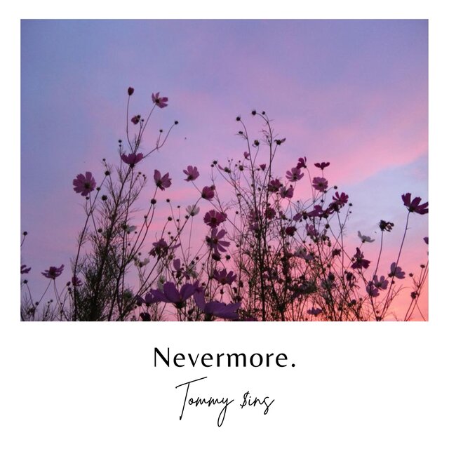 Nevermore.