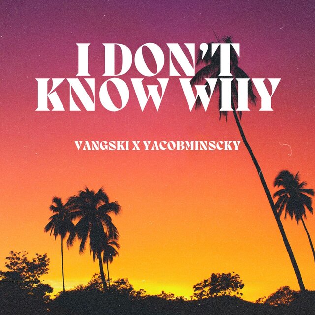 I Don't Know Why (feat. Yacobminscky)