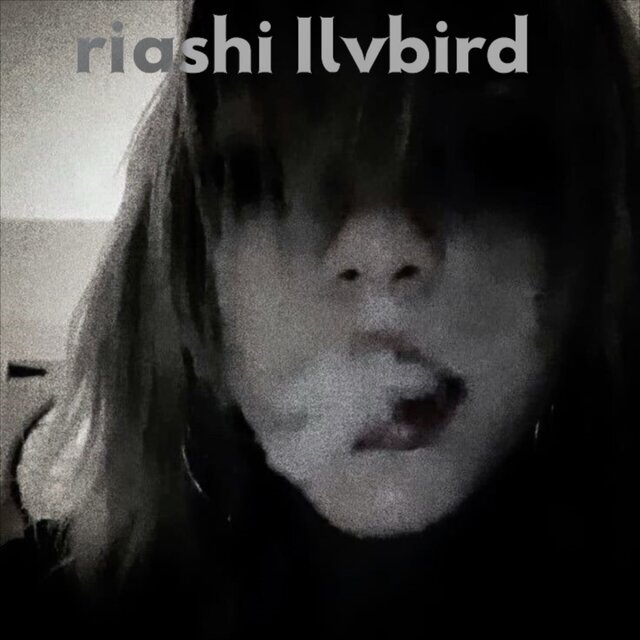 Ilvbird