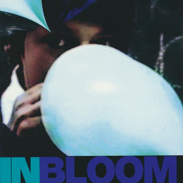 In bloom
