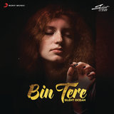 Bin Tere