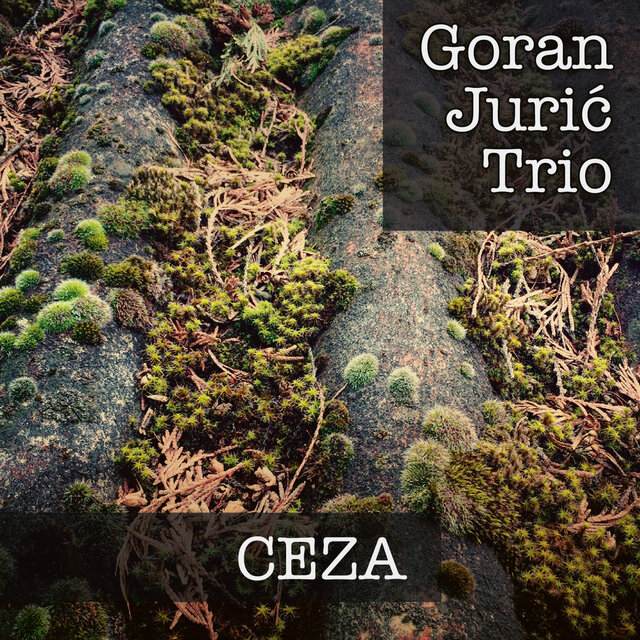 Ceza