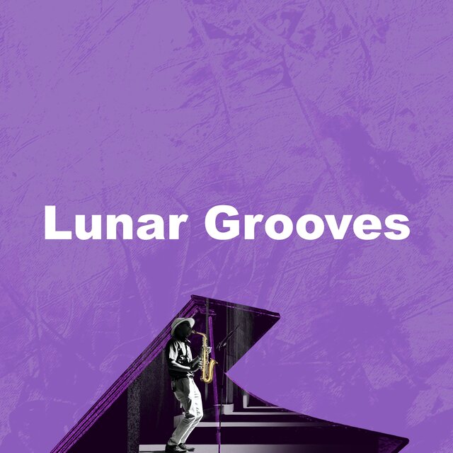 Lunar Grooves