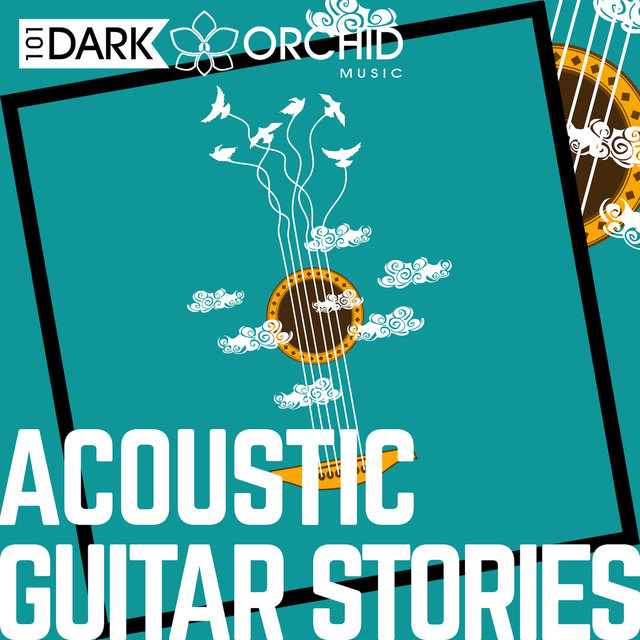Acoustic Guitar Stories