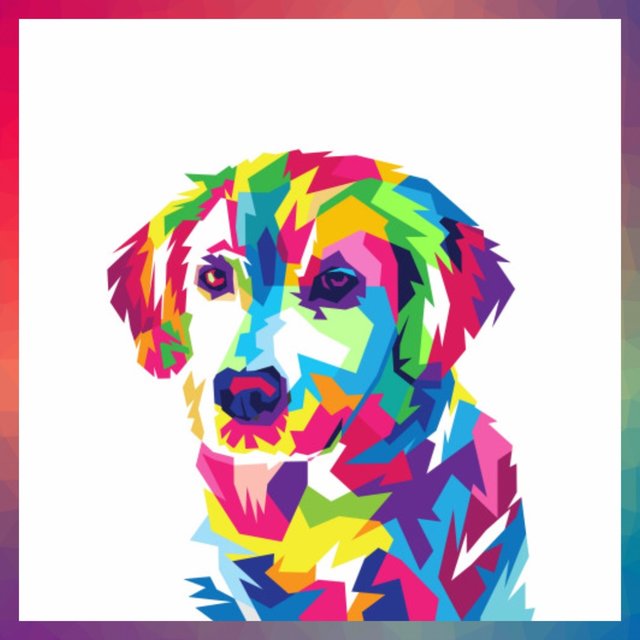 The Colorful Tape