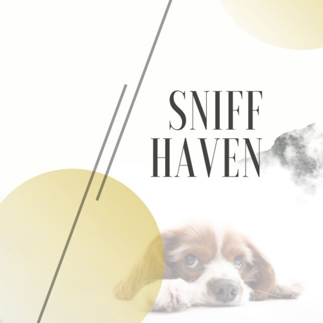 Sniff Haven