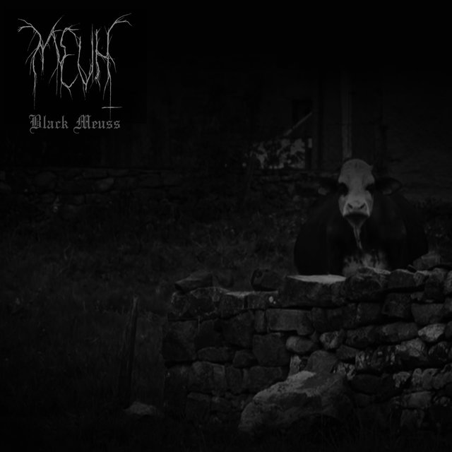 Black meuss