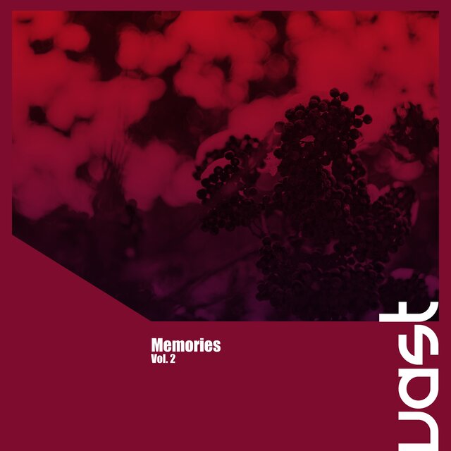 Memories, Vol. 2