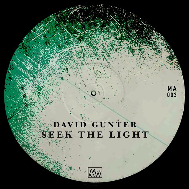Seek the Light