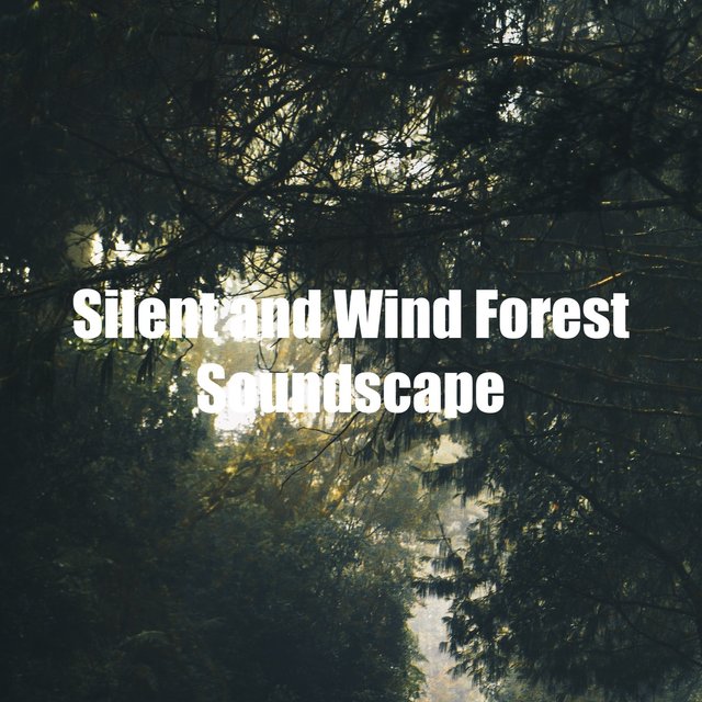 Silent and Wind Forest Soundscape