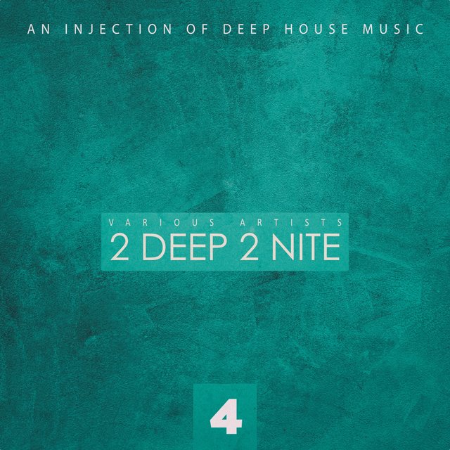 2 Deep 2 Nite, Vol. 4