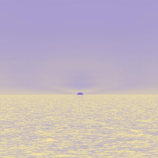 tortuga