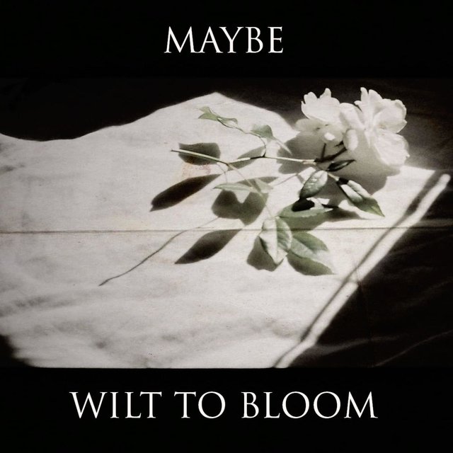 Wilt to Bloom