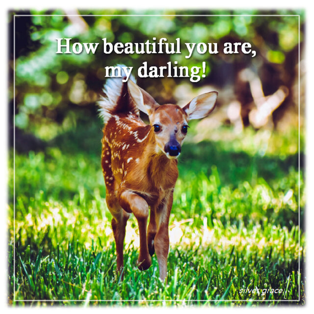 How beautiful you are, my darling!