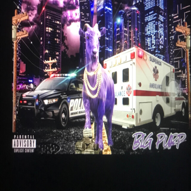 PurpTawk2