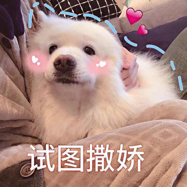偷听对白