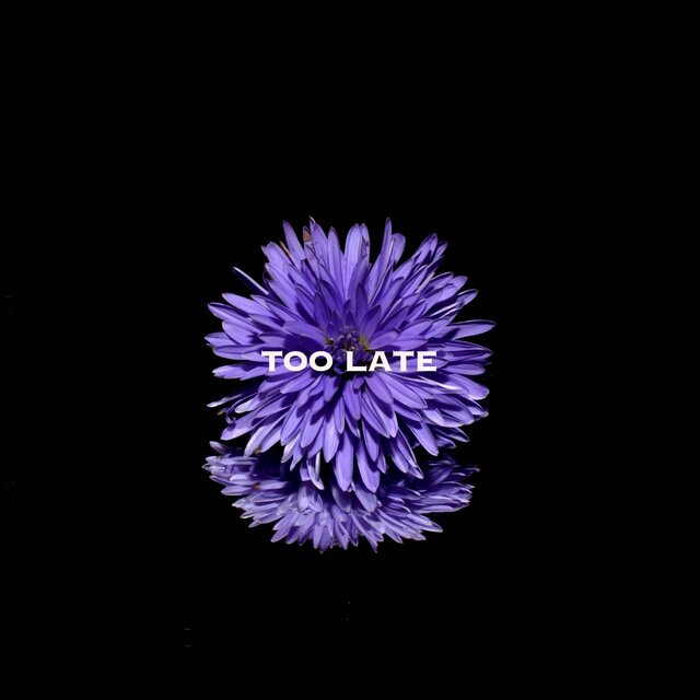 TOO LATE (PIANO DEMO)