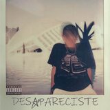 Desapareciste