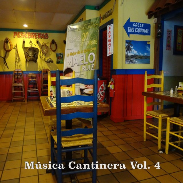 Música Cantinero, Vol. 4
