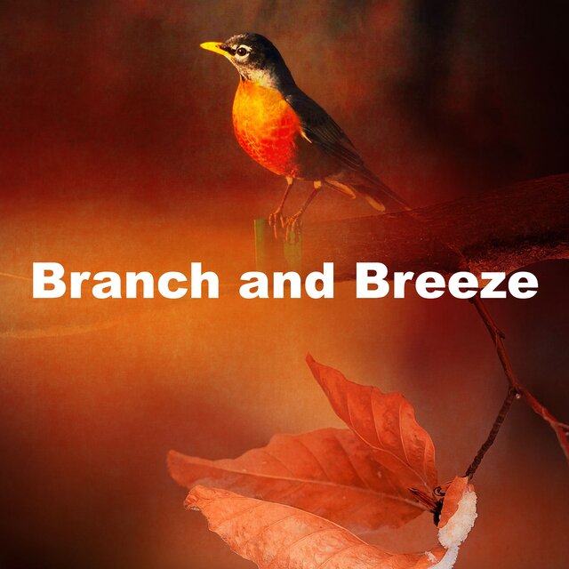Branch and Breeze