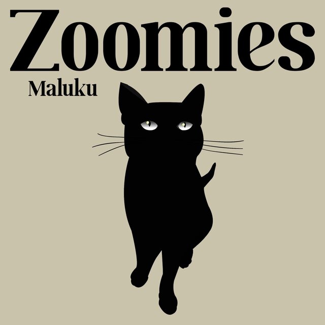 Zoomies