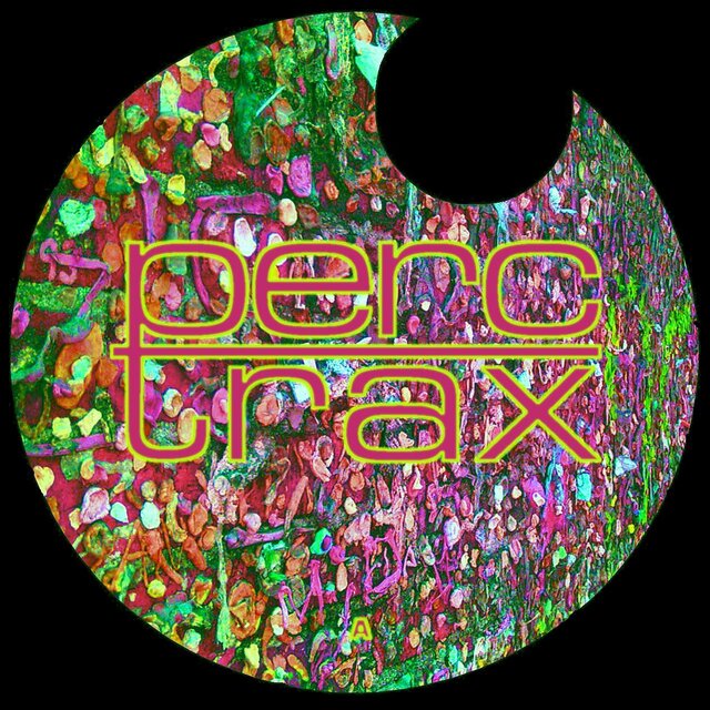 Night in the Jungle - EP