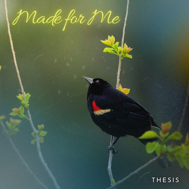 Made for Me