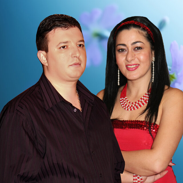 Sunt sofer pe camion