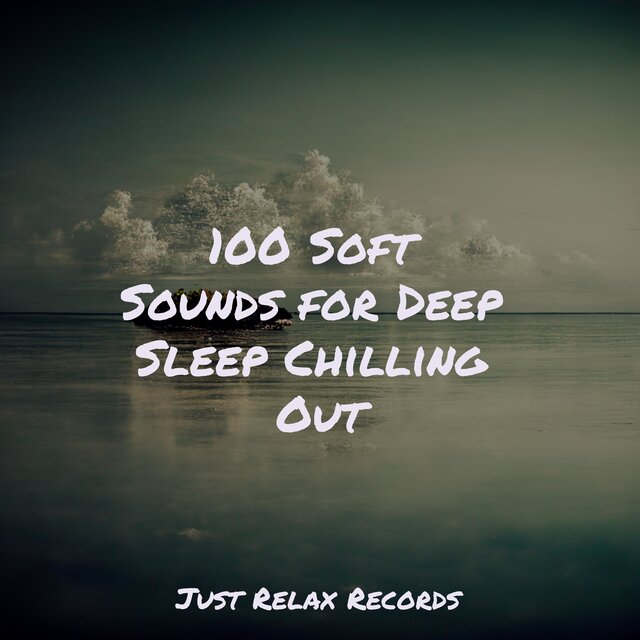 100 Soft Sounds for Deep Sleep Chilling Out