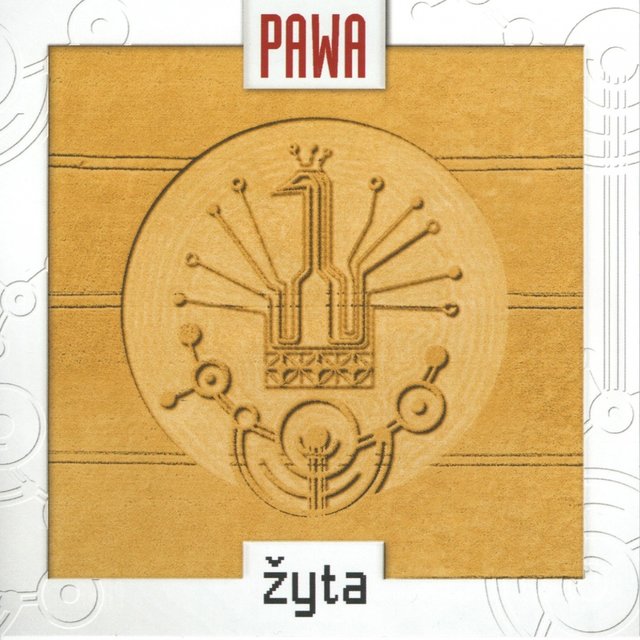 Žyta