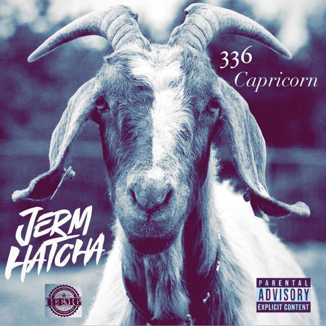 336 Capricorn