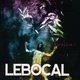 Cover art for album Bist du froh ? by Lebocal