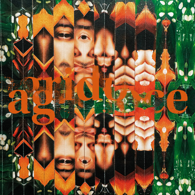 Agridoce