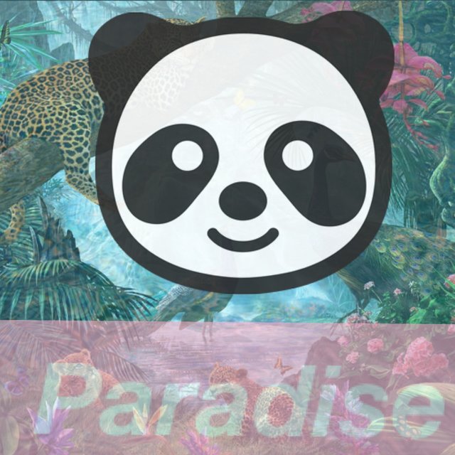 Paradise