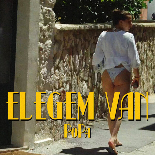 Elegem Van