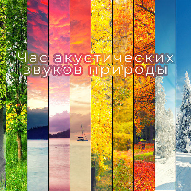 Час акустических звуков природы (Для сна, Йоги, Рейки, Медитации, Натуральное расслабление, Спа и баня музика, Спокойная музыка от головной боли)