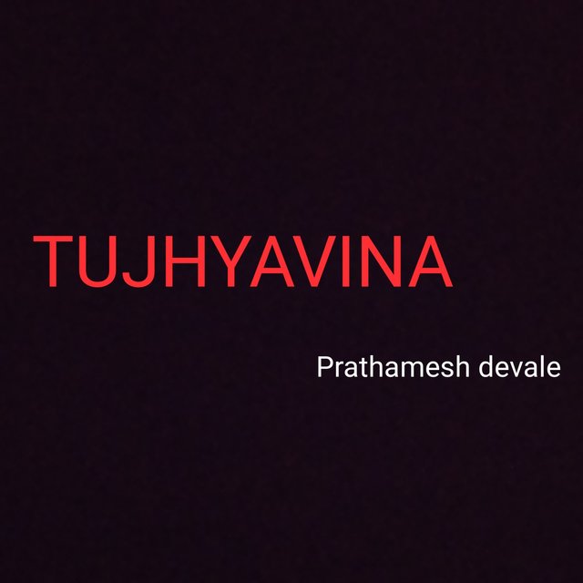 TUJHYAVINA (Freestyle)